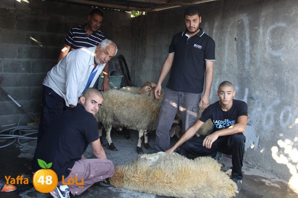 dabe7 ludj31 (84).JPG